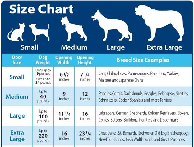 Dog Sizes