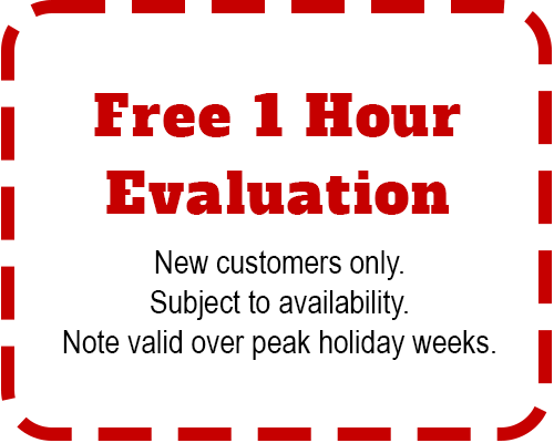 Free 1 Hour evaluation of your dog