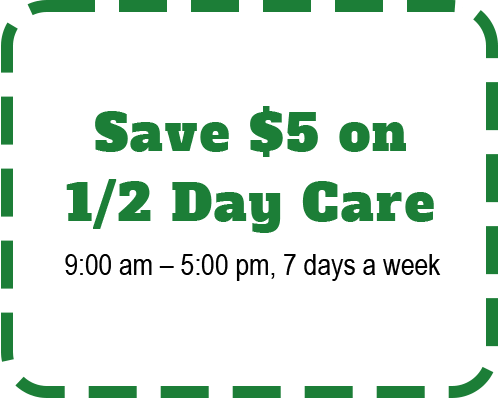 Save $5 on 1/2 Day Care
