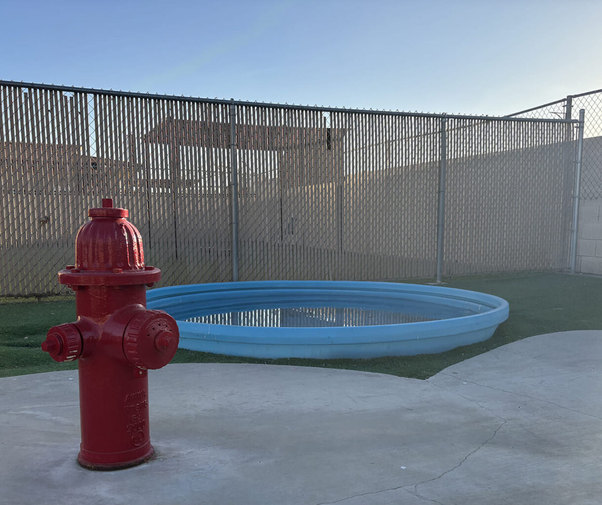 fire hydrant and dog splash pool
