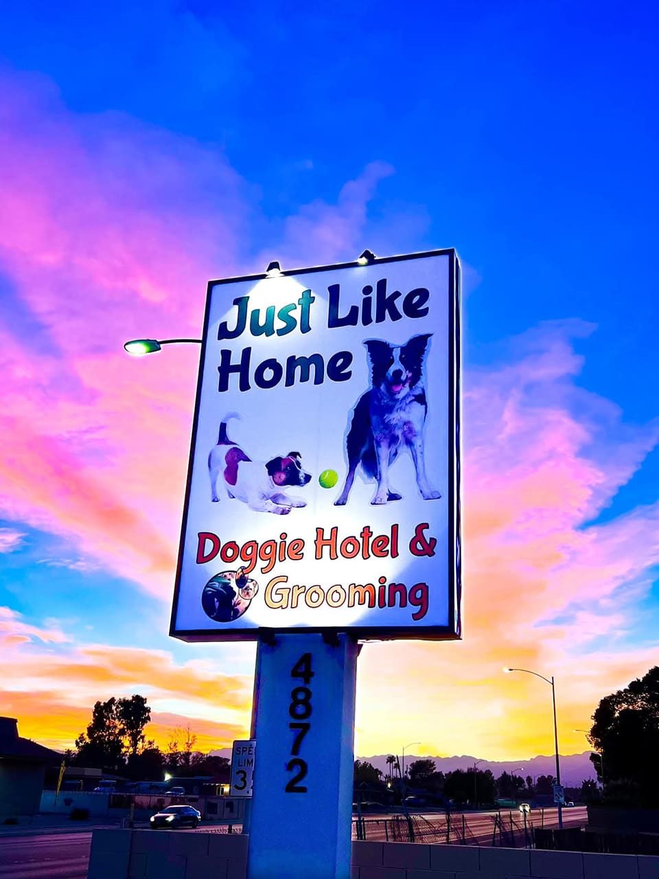 Just like Home Doggie Hotel and Grooming Las Vegas